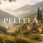 Pellela: The Quiet Word That’s Changing How We See Life